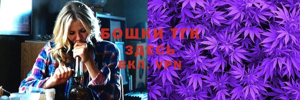 МДПВ Верхний Тагил