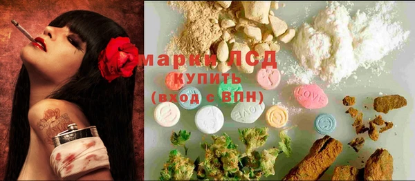 крисы Губаха
