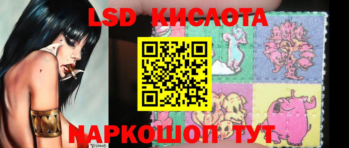 Галлюциногенные грибы Заинск