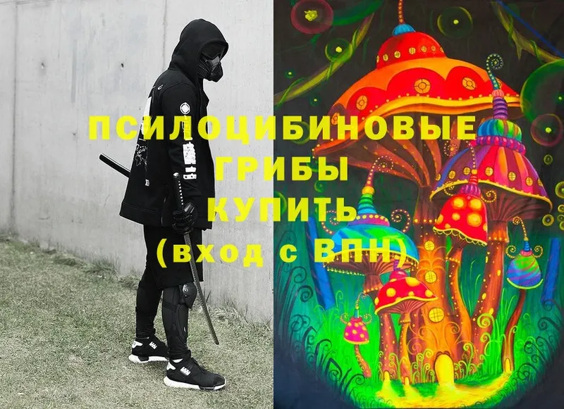 Псилоцибиновые грибы MAGIC MUSHROOMS  где продают наркотики  Заинск 