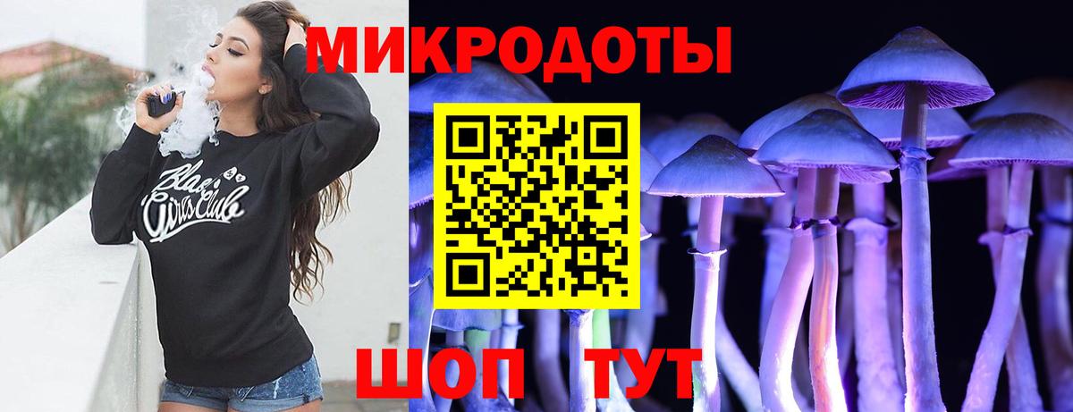 Заинск  Псилоцибиновые грибы GOLDEN TEACHER  цена наркотик  Вход с VPN 